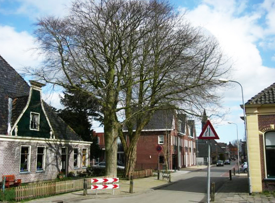 Zesstedenweg 214 beuk winter