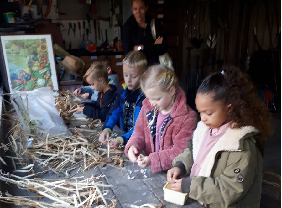 Jongeren in de moestuin